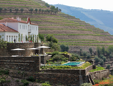 Exportação de vinhos de referência da Quinta da Romaneira para vários países.